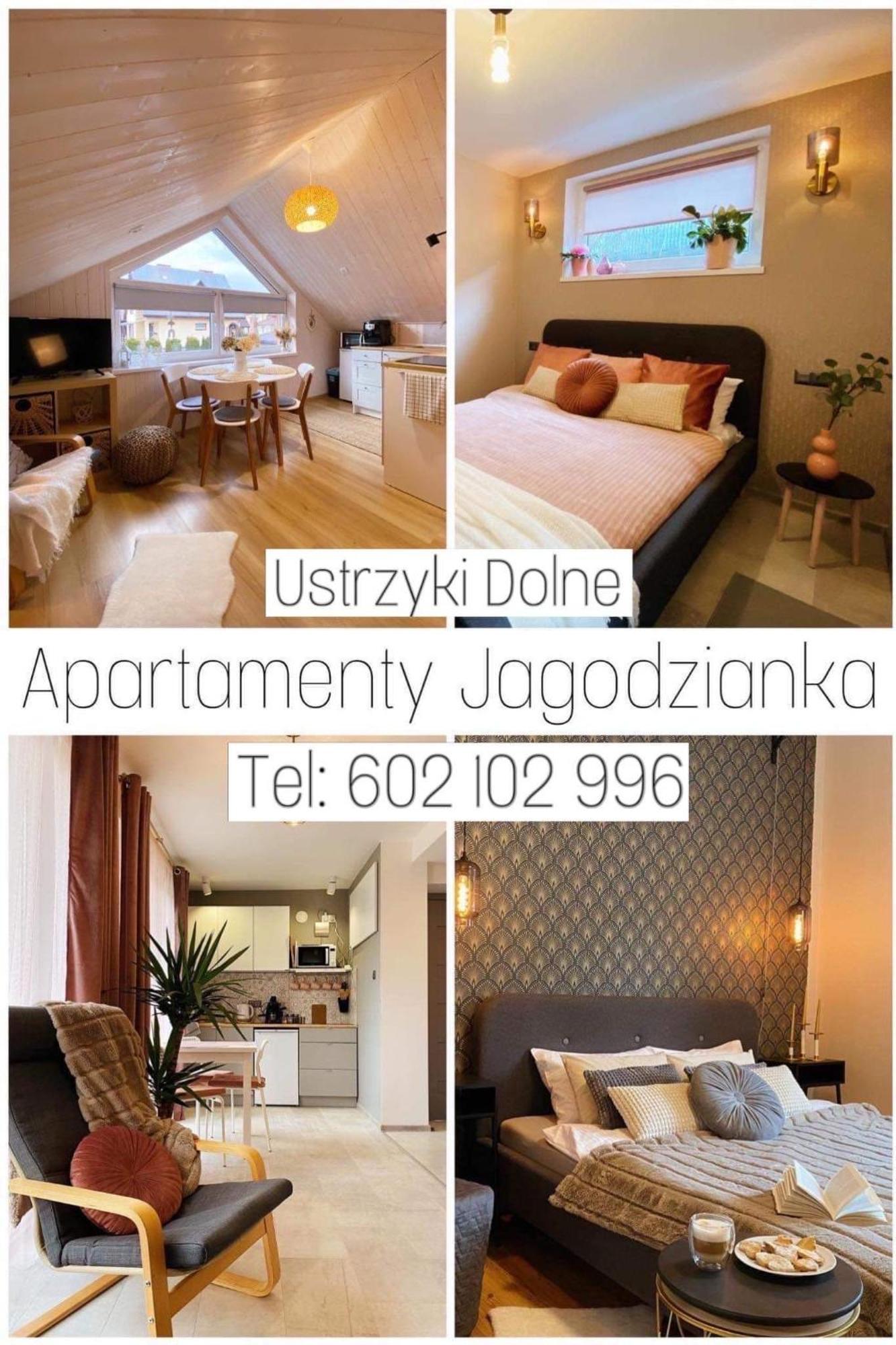 Apartamenty Jagodzianka Ustrzyki Dolne Zewnętrze zdjęcie
